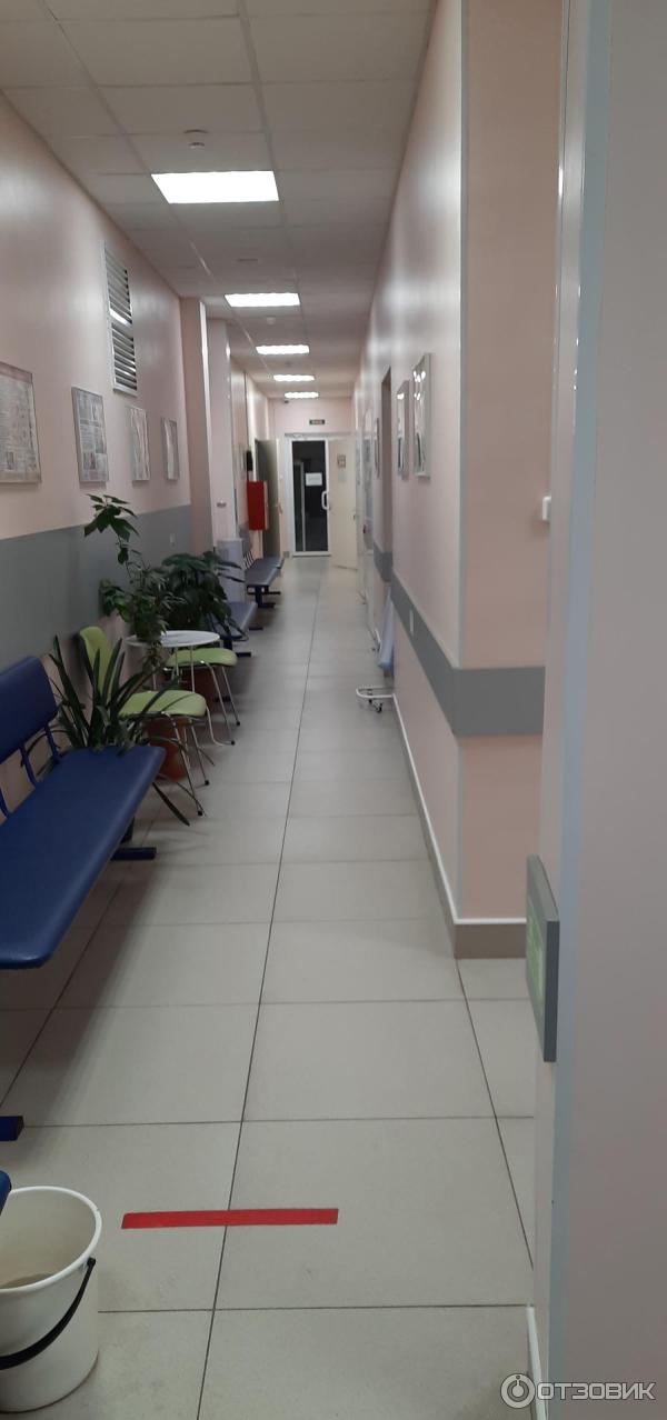 Отзыв о Центр семейной медицины (Ленинградская область, п.Тельмана ...