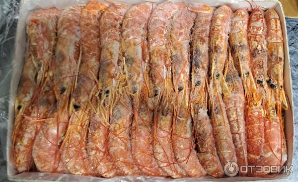 Отзыв о Свежемороженая аргентинская креветка целая Iberpesca s.a ...
