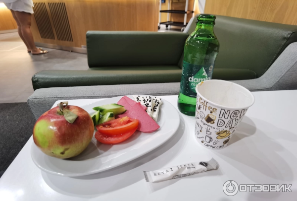 Бизнес-зал Skyteam в аэропорту Стамбула (Турция, Стамбул) фото
