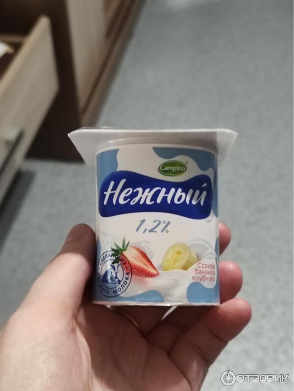 Отзыв о Продукт йогуртный Campina "Нежный" 1,2% с соком банана и ...