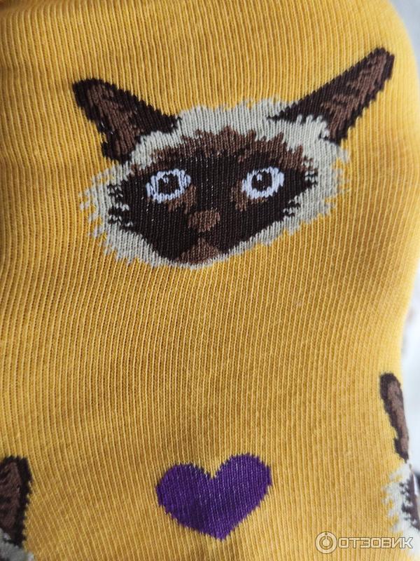 Отзыв о Женские носки Turkan Socks | Носки Turkan - у меня с котиками)