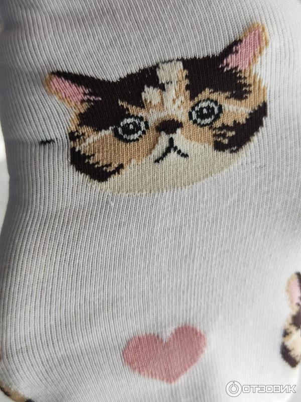 Отзыв о Женские носки Turkan Socks | Носки Turkan - у меня с котиками)