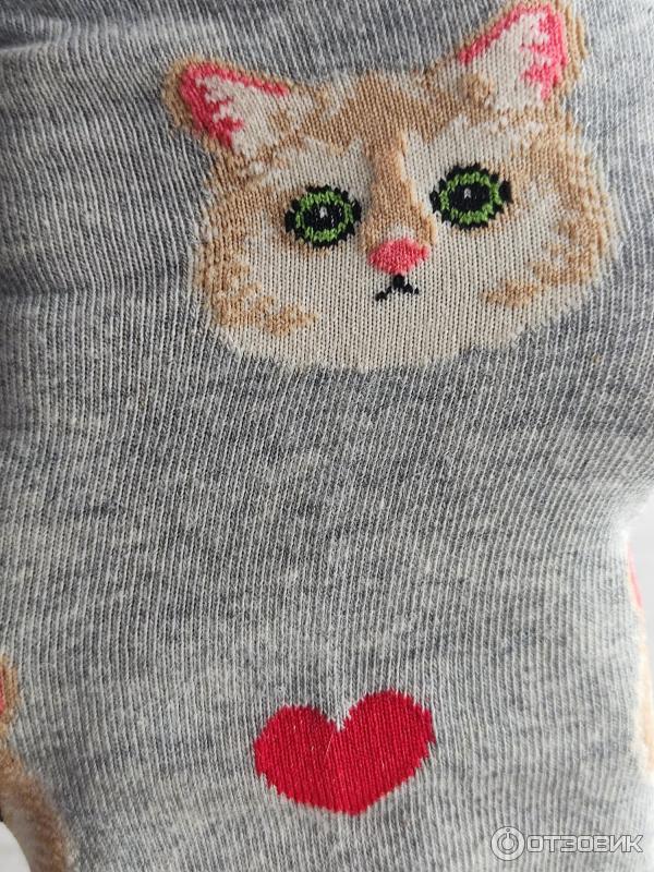 Отзыв о Женские носки Turkan Socks | Носки Turkan - у меня с котиками)