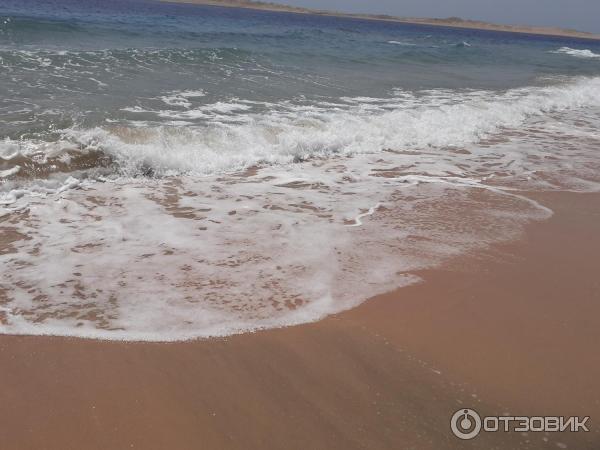 Отзыв о Отель Dive Inn Resort 4* (Египет, Шарм-эль-Шейх) | Простая ...