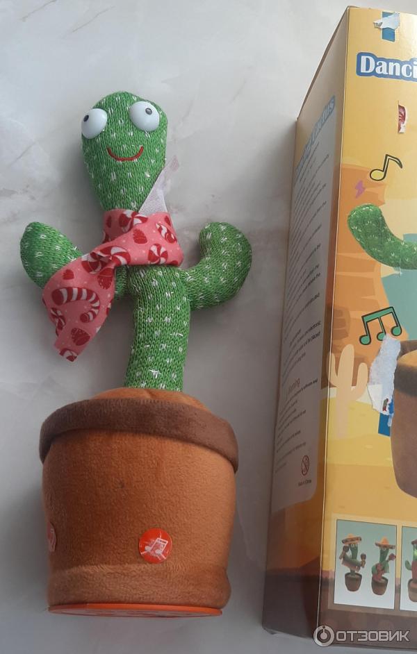 Toy Labi Dancing Cactus fotografie