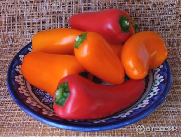 Отзыв о Перец сладкий мини микс Свежесть | Очень вкусные мини-перчики!