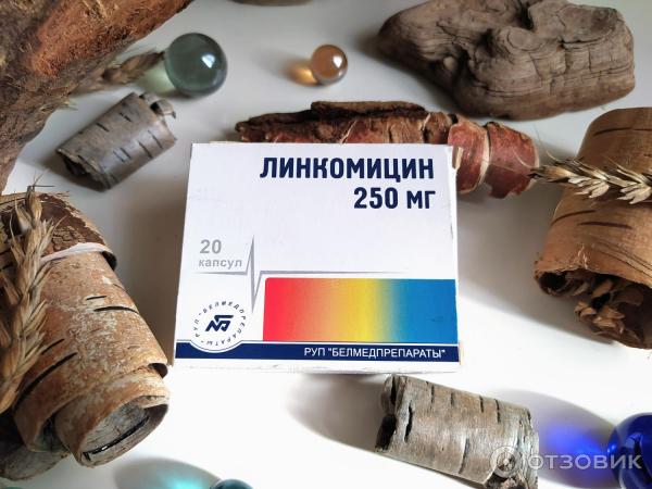 Отзыв о Лекарственный препарат Белмедпрепараты "Линкомицин ...