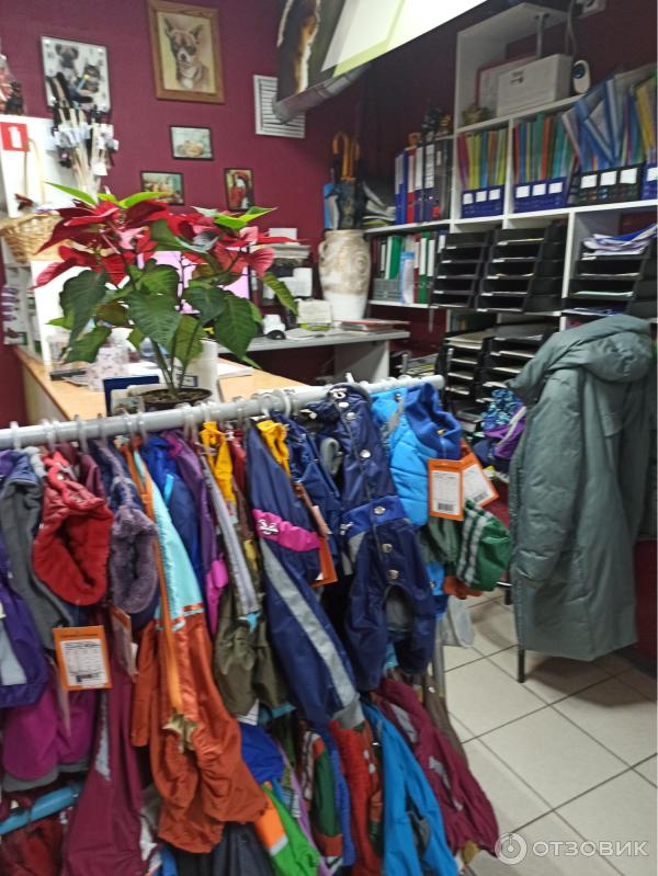 Отзыв о Ветеринарная клиника \"НикаВет\" (Россия, Санкт-Петербург ...