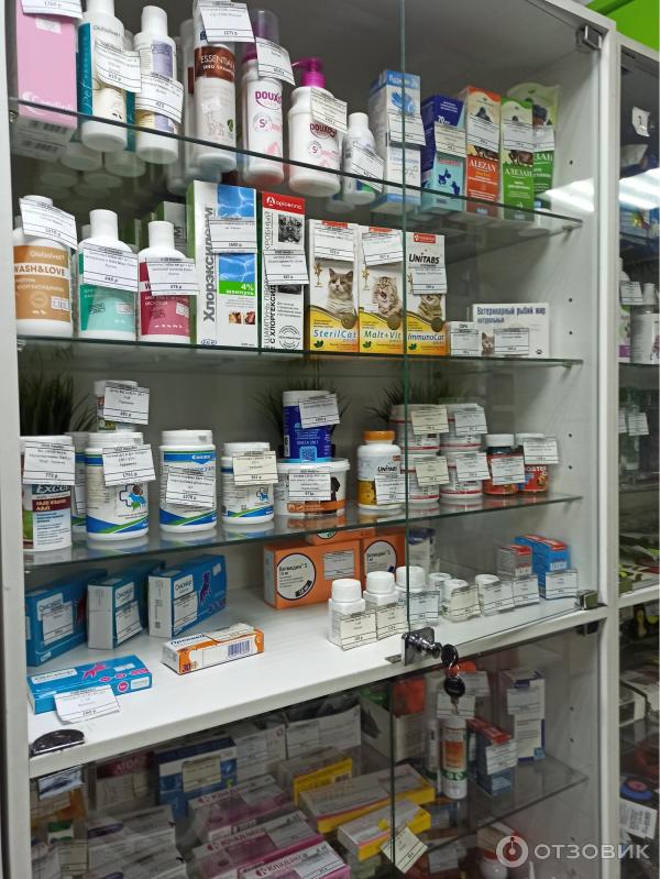 Отзыв о Ветеринарная клиника "НикаВет" (Россия, Санкт-Петербург ...
