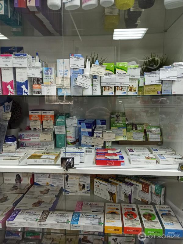 Отзыв о Ветеринарная клиника "НикаВет" (Россия, Санкт-Петербург ...