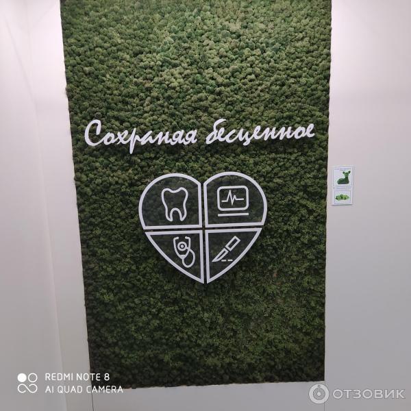 Сантэ медицинский центр минск. Сантэ медицинский центр минск