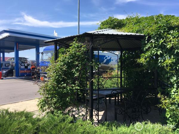 Отзыв о Сеть автозаправочных станций "Газпромнефть" (Россия ...