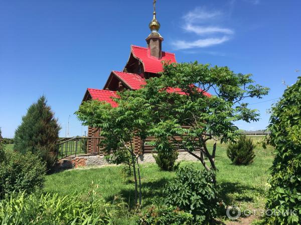 Отзыв о Сеть автозаправочных станций "Газпромнефть" (Россия ...