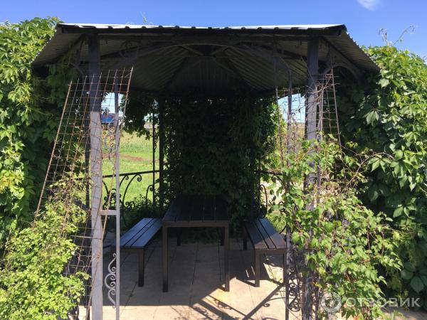 Отзыв о Сеть автозаправочных станций "Газпромнефть" (Россия ...