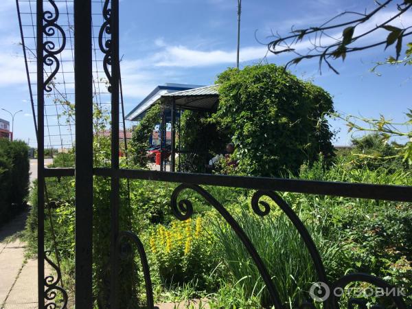 Отзыв о Сеть автозаправочных станций "Газпромнефть" (Россия ...