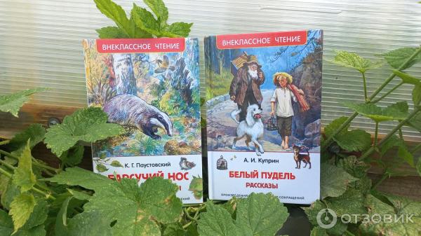 Отзыв о Книги серии "Внеклассное чтение" - издательство Росмэн-Пресс ...