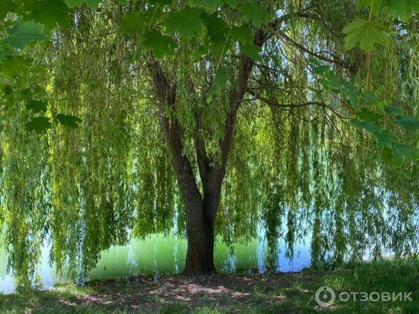 Экскурсия в замок Шато Эркен (Россия, Нальчик) фото
