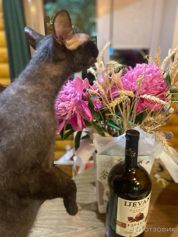 Отзыв о Армянское гранатовое вино Ijevan Wine | Jewellery wine