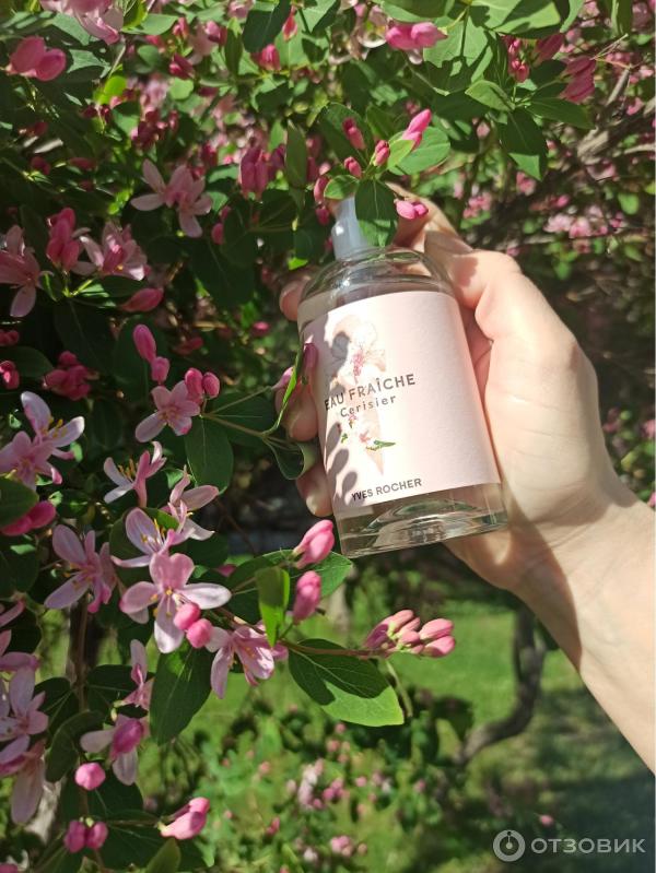 Отзыв о Туалетная Вода Yves Rocher Eau Fraiche Cerisier Аромат