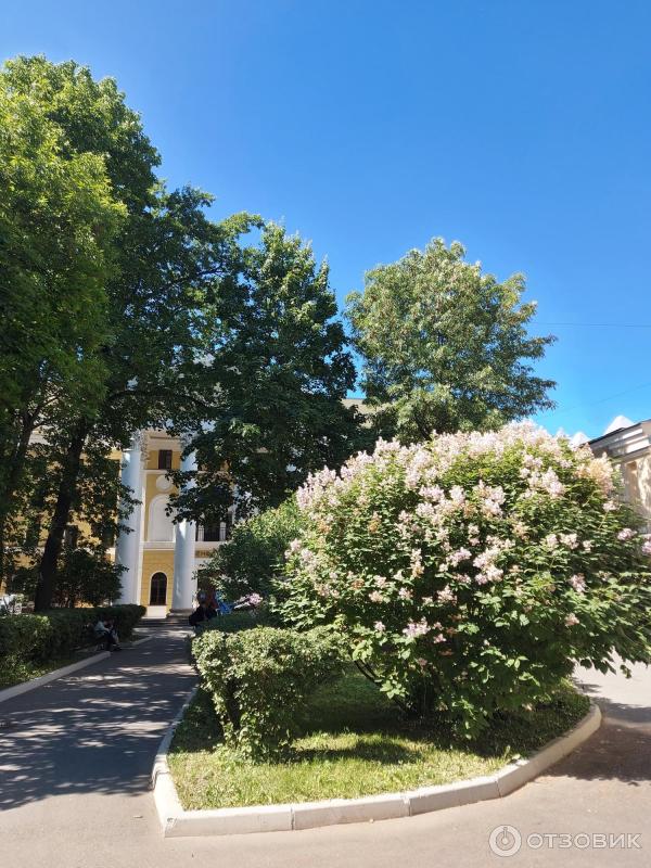 Отзыв о Киностудия "Ленфильм" (Россия, Санкт-Петербург) | Шикарно и всё ...