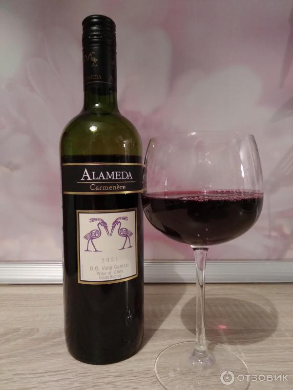 Отзыв о Вино Alameda Carmenere красное полусухое | Вино к мясу!
