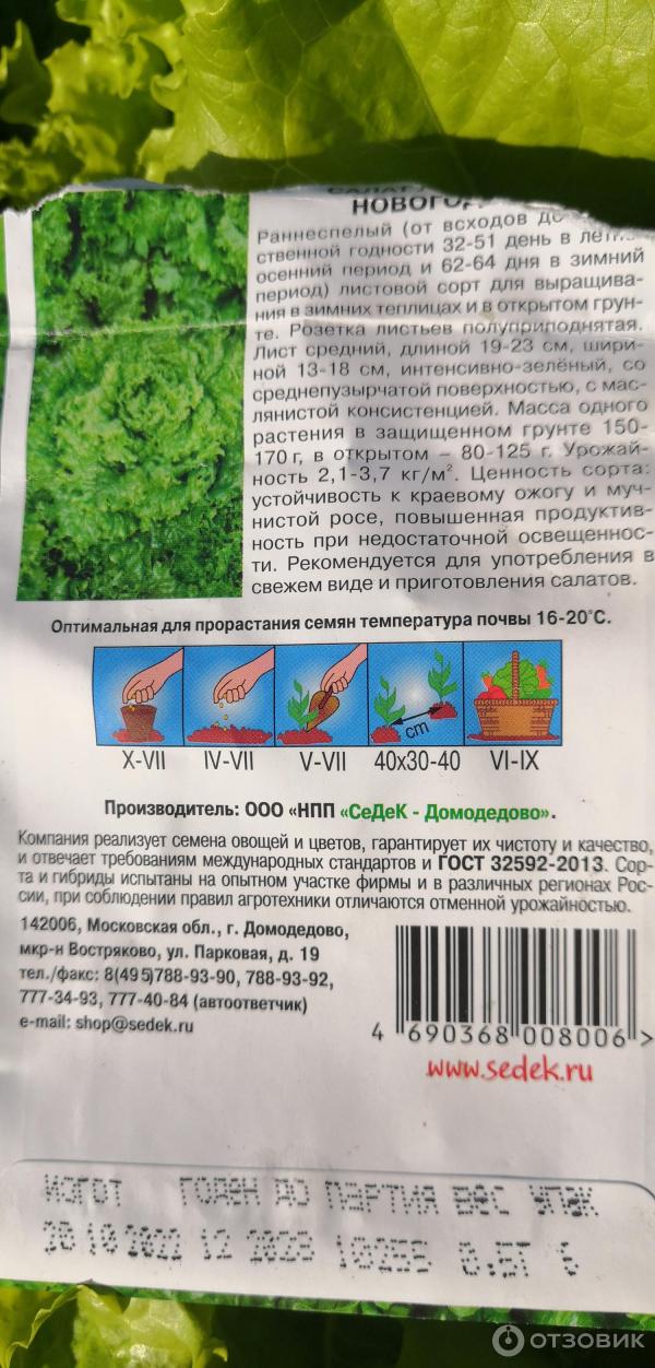 Отзыв о Семена салата листового Седек "Новогодний" | Отличный результат