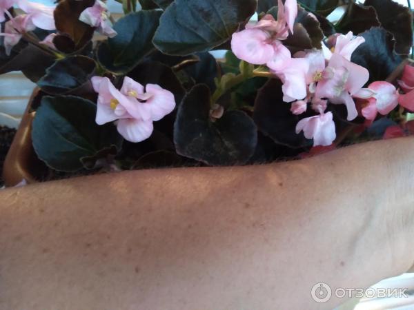 Отзыв о Мицеллярная вода гиалуроновая Lovely Sense 4в1 | Отличная ...