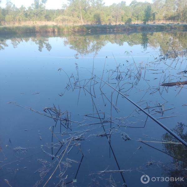 Рыбалка на маховую удочку река Вядь