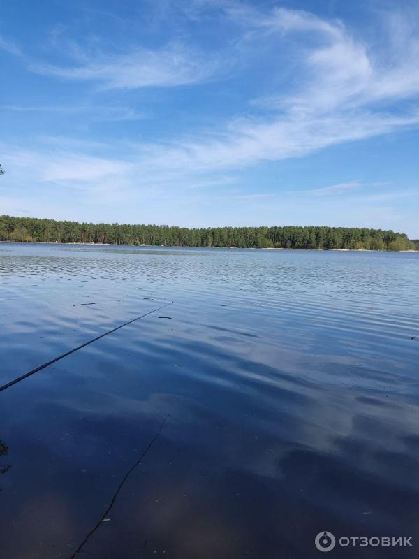 Водная гладь