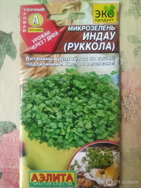 Отзыв о Семена Аэлита "Микрозелень Индау (руккола)" | Сага "Если нет ...