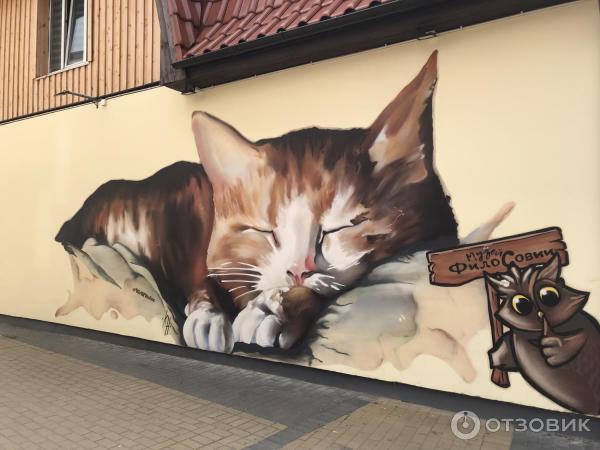 мир кошек okbezmorok store. мир кошек okbezmorok store. выставка мейн кунов в санкт-петербурге 2021. кошачье изобилие кружка dunoon. мир кошек okbezmorok store.