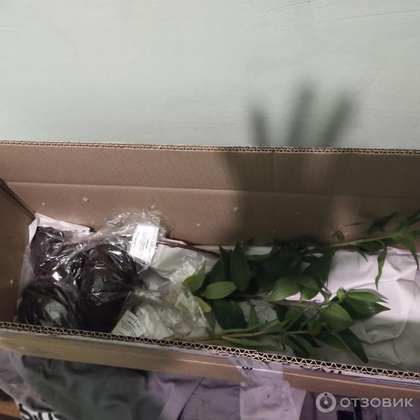 Отзыв о Zakazvsad.ru - интернет-магазин саженцев | Долго запрягали, но ...