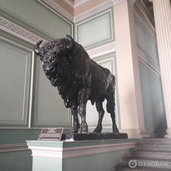 Проект открытый город спб