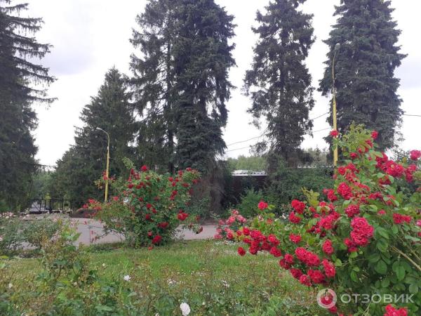 Ботанический сад МГУ на Воробьевых горах (Россия, Москва) фото