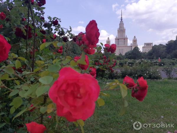 Ботанический сад МГУ на Воробьевых горах (Россия, Москва) фото