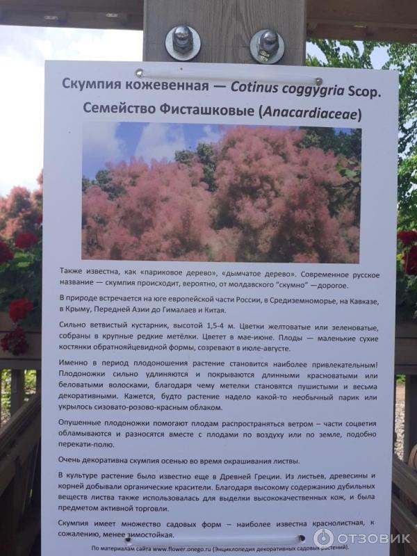 Ботанический сад МГУ на Воробьевых горах (Россия, Москва) фото