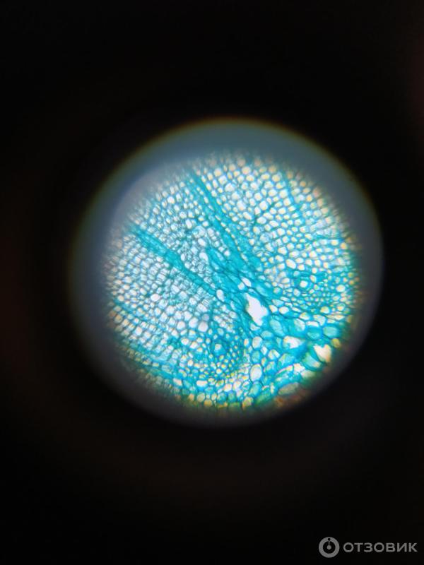 Микроскоп микролайф мл 12-1. Цифровой микроскоп microlife ml 12 1. Цифровой микроскоп microlife ml 12 1. 3. Цифровой микроскоп microlife ml 12 1.