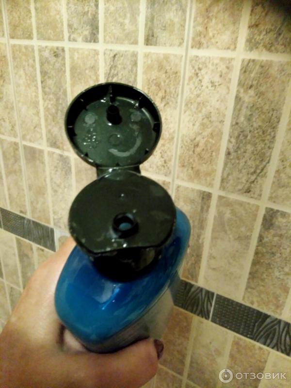 Отзыв о Шампунь Herbal Essences Марокканское аргановое масло ...