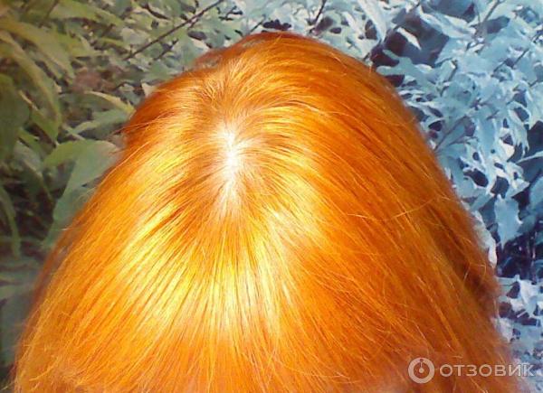 Отзыв о Стойкая крем-краска для волос Garnier Color Naturals | Оттенок ...
