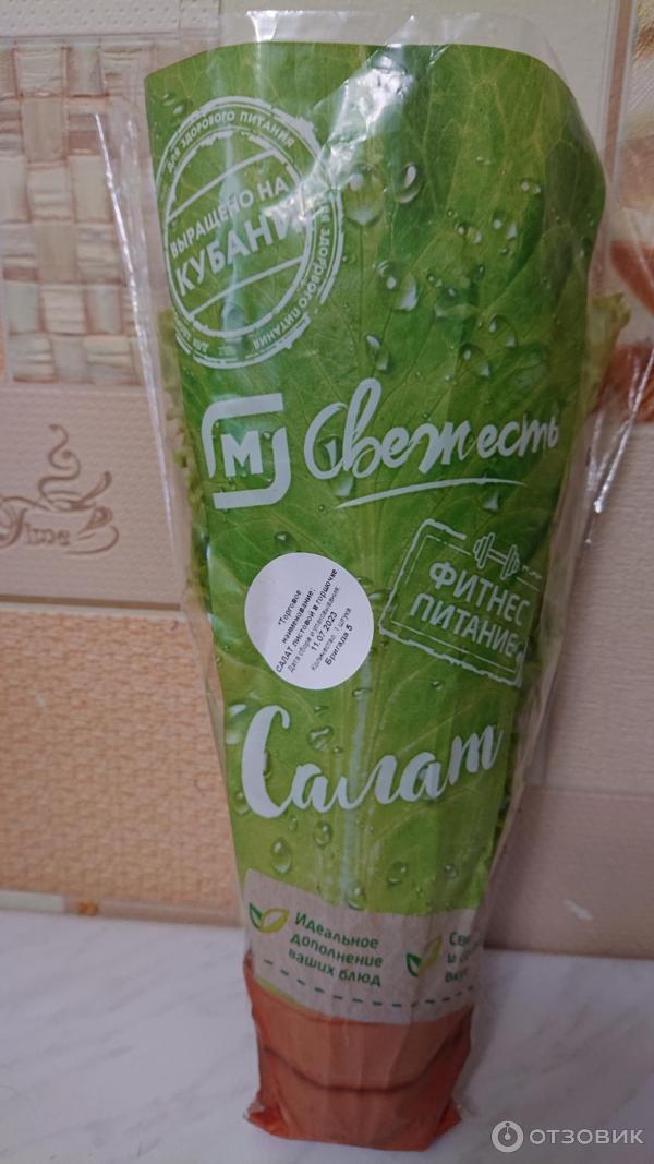 Отзыв о Салат-латук листовой в горшочке "Свежесть" | отличный ...