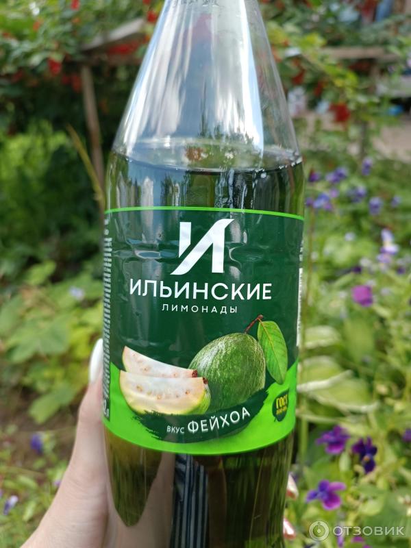 Отзыв о Напиток безалкогольный сильногазированный Ильинские лимонады ...
