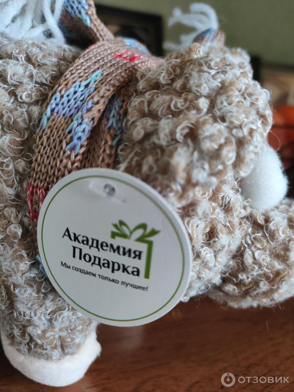 Отзыв о Мягкая игрушка Академия подарка | Симпатишные хрюшки
