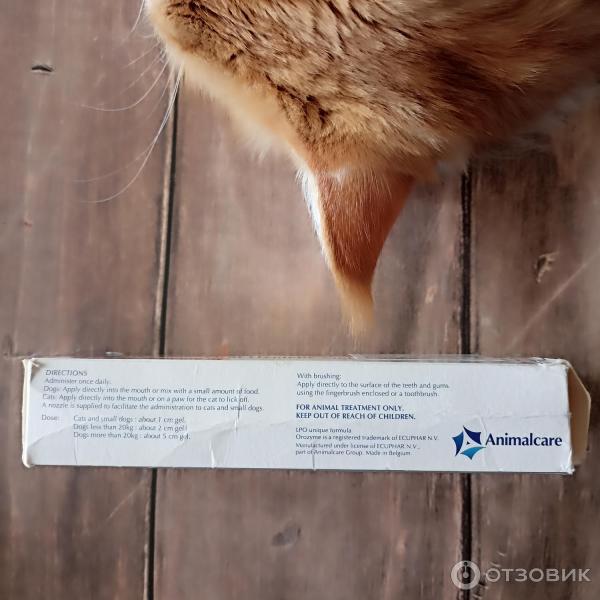 Отзыв о Гель для ухода за полостью рта для домашних питомцев Ecuphar ...