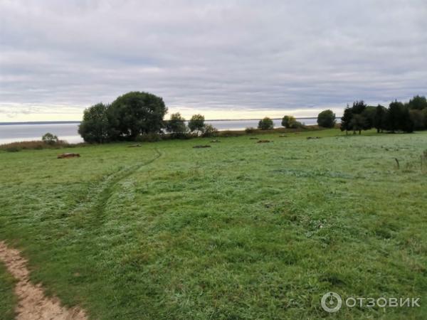 Отзыв о Озеро Плещеево (Россия, Переславль-Залесский) | Необыкновенно ...