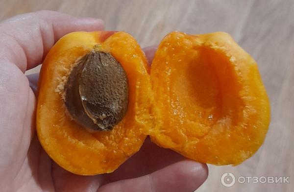 Отзыв о Абрикосы красные "Бархатные" | Красивые и вкусные абрикосы