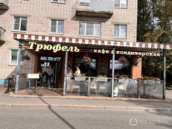 Трюфель великий новгород