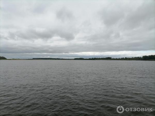 Курополка