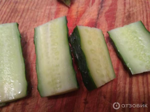 Fotografie Seedek Seedek Cucumber Emerald Stream F1
