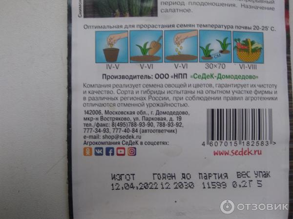 Fotografie Seedek Seedek Cucumber Emerald Stream F1