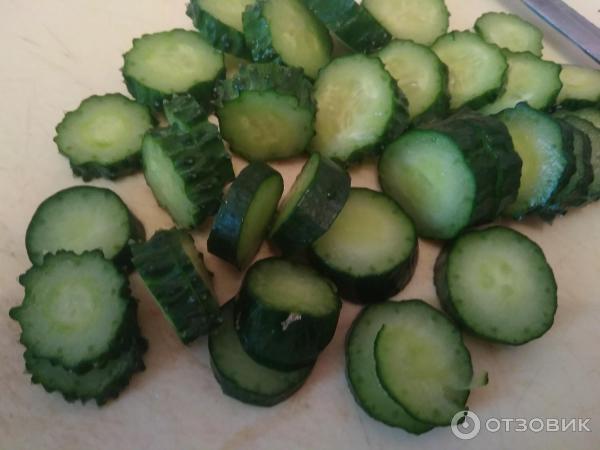 Fotografie Seedek Seedek Cucumber Emerald Stream F1